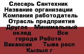 Слесарь-Сантехник › Название организации ­ Компания-работодатель › Отрасль предприятия ­ Другое › Минимальный оклад ­ 25 000 - Все города Работа » Вакансии   . Тыва респ.,Кызыл г.